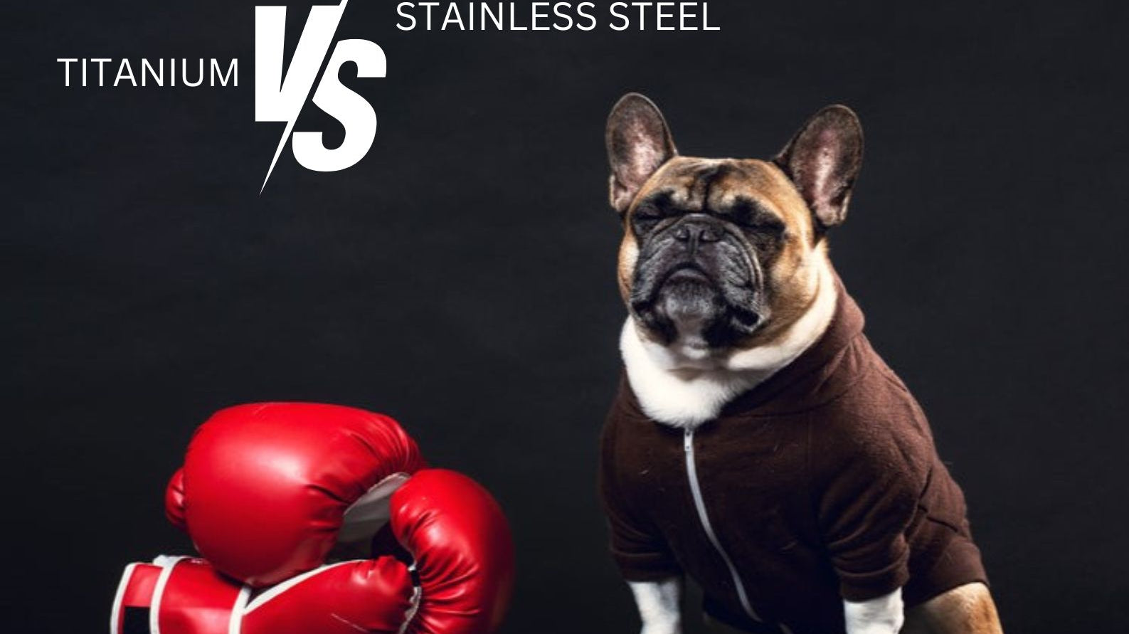 Stainless Steel vs Titanium Earrings: What's the safest?