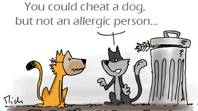 The difference between hypoallergenic and anti-allergy