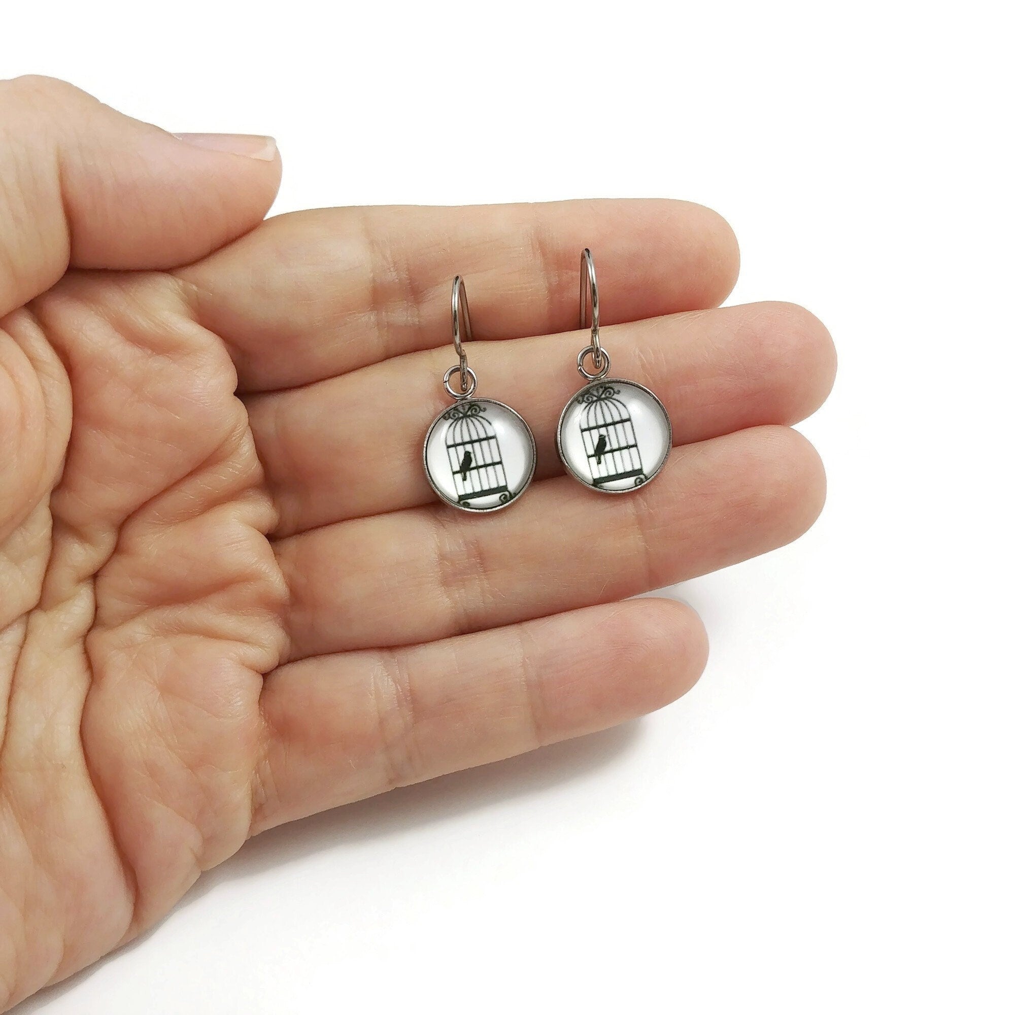 Bird in a cage drop earrings, Hypoallergenic pure titanium jewelry, Cute dainty white earrings