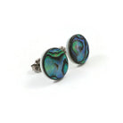 Abalone shell stud earrings, Pure implant grade titanium jewelry